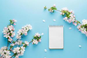 sakura de printemps en fleurs sur fond bleu avec espace bloc-notes pour un message d'accueil. le concept du printemps et de la fête des mères. belles fleurs de cerisier roses délicates au printemps photo