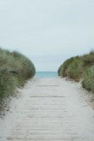 chemin vers la plage photo