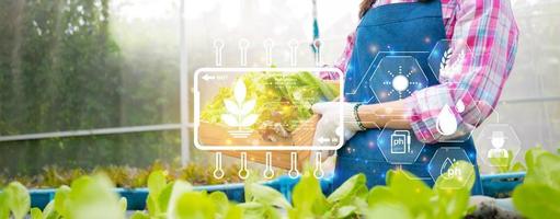 concept de traitement de la culture d'un champ agricole avec la technologie numérique, tableau de bord numérique pour la surveillance de l'usine, agricultrice tenant un panier de légumes frais dans une ferme biologique.