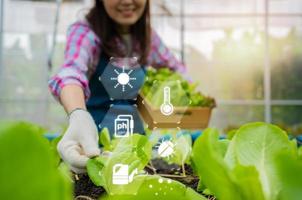 concept de traitement de la culture d'un champ agricole avec la technologie numérique, tableau de bord numérique pour la surveillance de l'usine, agricultrice tenant un panier de légumes frais dans une ferme biologique.