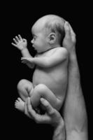 mignon bébé nouveau-né dans les mains du père photo