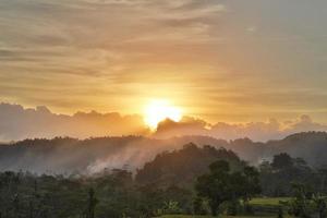 jungle au coucher du soleil à bali indonésie photo