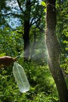 pulvérisant un essaim d'abeilles avec de l'eau, les abeilles sont mouillées. photo