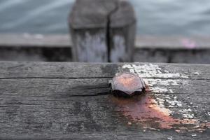 mise au point sélective sur les têtes de boulons de pont en bois rouillé parce qu'elles sont proches de la mer, elles sont donc corrosives photo