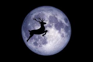 arrière-plan pour les rennes de noël courant dans le ciel avec la lune sur fond noir photo