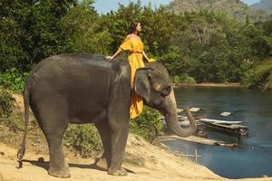 femme vêtue d'une belle robe orange chevauche l'éléphant photo