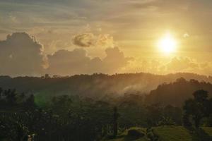 jungle au coucher du soleil à bali indonésie photo