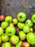 les pommes sont empilées en tas. fruits juteux verts et brillants. macro shot, les pommes se trouvent pour la cueillette par le jardinier. collation vitaminée, fruits délicieux pour une alimentation saine. perte de poids, bonnes habitudes photo