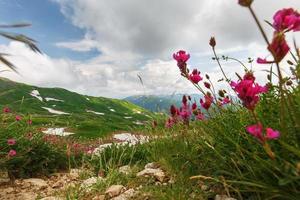 chemin pierreux vers les montagnes à travers le col fisht-oshten. photo