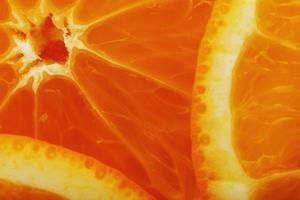tranches d'orange mûre rétroéclairées comme arrière-plan texturé. plein écran, gros plan, macro photo