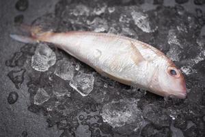 poisson frais sur le marché de la glace - poisson de fruits de mer dorade congelé photo