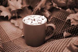 feuilles d'automne et tasse de café fumante chaude se trouve sur un plaid à carreaux à l'extérieur photo