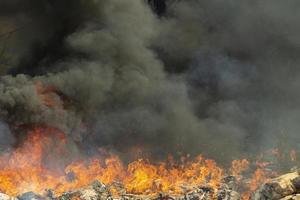 fumée noire et feu. feu en forêt. brûlage des ordures. photo