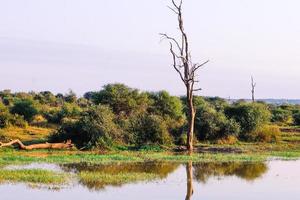 paysages d'afrique australe photo