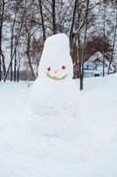 bonhomme de neige souriant dans le parc sur fond de neige photo