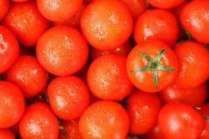 tomates cerises fraîches aux feuilles vertes. tomates rouges de fond. photo