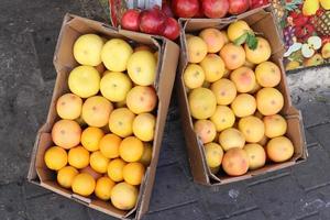 des légumes et des fruits sont vendus dans un bazar en israël. photo