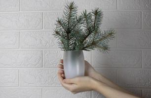 la main tient un verre dépoli avec un bouquet de branches de sapin. le concept du nouvel an, noël photo