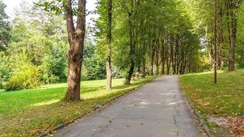 belle forêt verte en été. route de campagne, chemin, chemin, voie, sentier par une journée ensoleillée dans la forêt de printemps photo