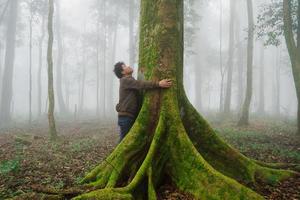 l'homme explore l'arbre de la nature dans la forêt photo