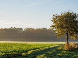 Temps d'automne à une rivière en Allemagne photo