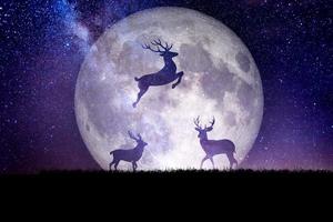 silhouette de cerf de nuit sur fond de grande lune. fond pour noël photo