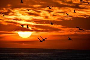 coucher de soleil au maroc photo