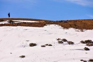 rivage de sable blanc photo