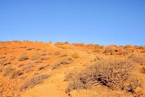 paysage sur les îles canaries photo