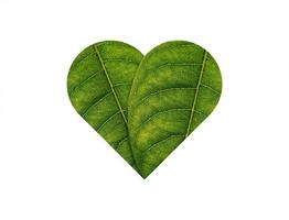 coeur vert fait de feuilles vertes sur le concept d'écologie de fond de sol photo