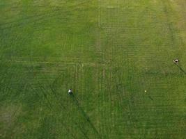 vue aérienne d'un homme se reposant sur la pelouse du parc photo