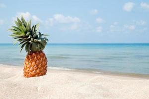 paysage tropical d'été avec ananas sur la plage de sable blanc sur fond bleu mer et ciel. photo