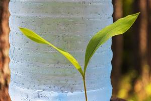 une grande bouteille d'eau potable fraîche et propre se trouve dans la forêt à côté des germes de fleurs de muguet photo