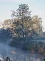 Temps d'automne à une rivière en Allemagne photo