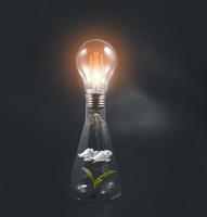 concept énergie et nature, ampoule à incandescence avec plante comme filament, ampoule dans un bocal en verre avec une plante en croissance, économie de la terre et énergie renouvelable, concept d'idée d'énergie alternative,