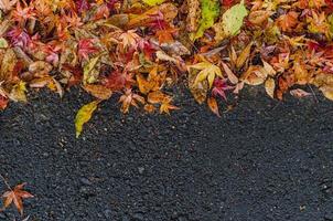des feuilles sèches colorées tombent sur le sol humide à l'automne du japon. photo
