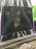 le chat noir moelleux est assis dans un support souple. cage pour animaux de compagnie en matériau souple. mobilité animale. les chats voyagent dans une cage avec une literie moelleuse et une porte en tissu. transport confortable, l'animal voyage photo