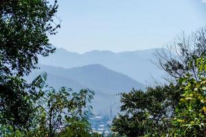 montagnes et arbres photo