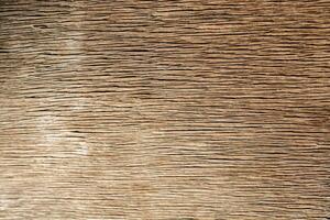 texture du bois avec des motifs naturels photo
