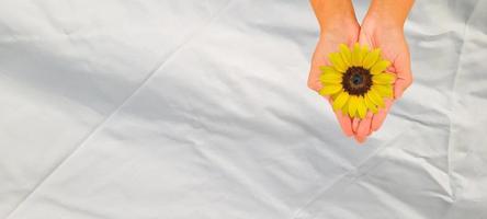 femme tenant une fleur jaune de tournesol, avec fond blanc joyeux photo