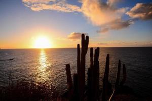 l'océan atlantique à tenerife photo