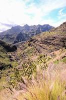 paysage rocheux sur les îles canaries photo