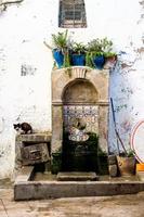 vue sur la rue marocaine photo