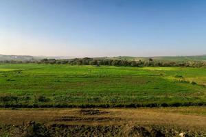 vue paysage herbeux photo