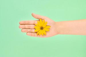 fleur jaune dans la paume femelle, sauver l'environnement, concept cosmétique de soins de la peau, symbole de la nature pure photo