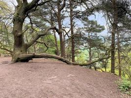 une vue sur la campagne du cheshire à peckforton photo