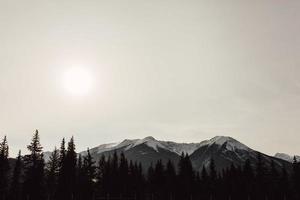 photo de paysage en niveaux de gris de la montagne