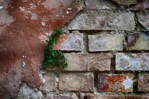 vieux mur de briques cassé en plâtre. vieux mur de briques cassées avec du plâtre fissuré photo