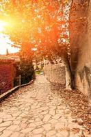 coucher de soleil dans une ville avec des rues en pierre et des feuilles au sol. soleil filtrant à travers les arbres. photo