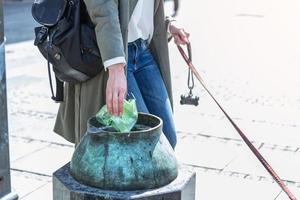 jeune femme nettoyant les excréments de chiens dans la rue, le propriétaire de l'animal ramasse la merde du chien nettoyant le désordre. photo